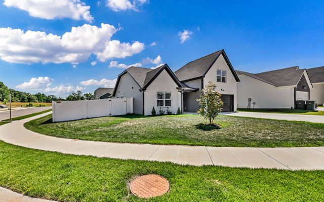 1143 Javier Dr, Springfield, TN 37172