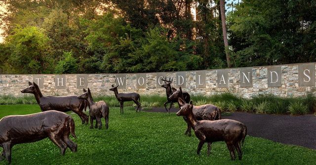 18 S Slash Pine Park, The Woodlands, TX 77380