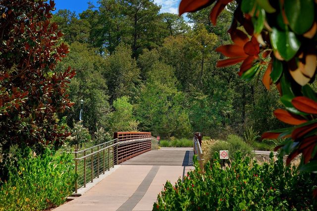 18 S Slash Pine Park, The Woodlands, TX 77380