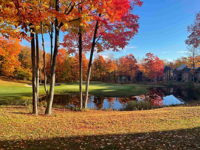 5299 M-66 North, East Jordan, MI 49727