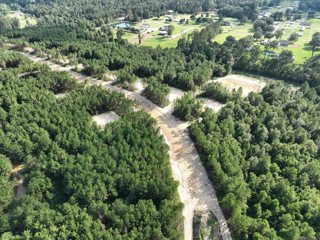 Lot 14 Honey Grove, Livingston, LA 70754