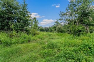 5566 HARVEY TEW ROAD, Plant City, FL 33565