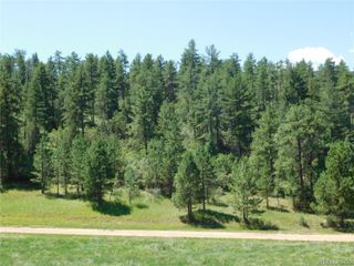 4668 Comanche Drive, Larkspur, CO 80118