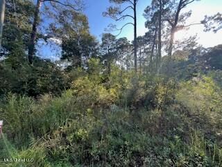 Lot 2877 Persimmon Avenue, Ocean Springs, MS 39564