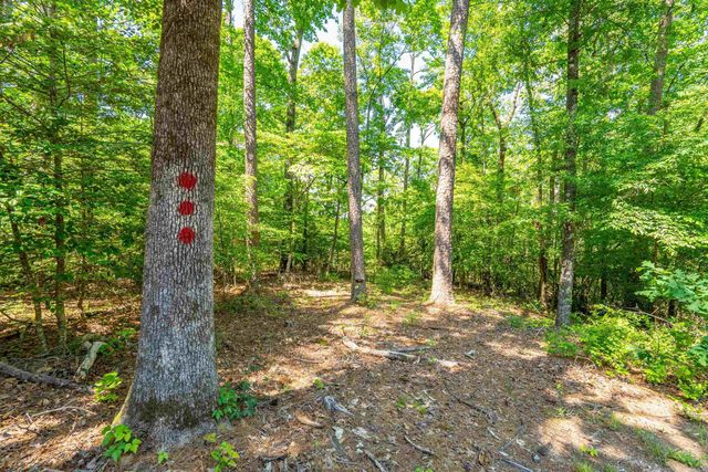 90 SilverPoint Unit 4 Drive, Mount Ida, AR 71957