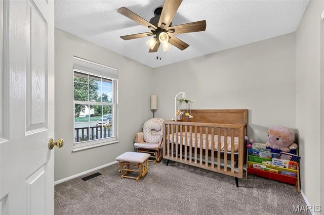 72 Hickoryshade Court, St Peters, MO 63376