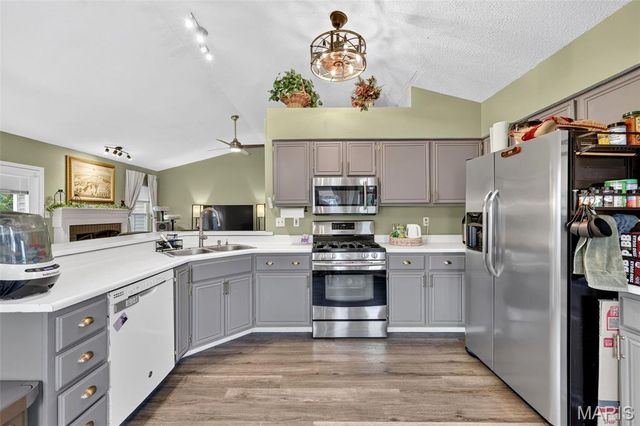 72 Hickoryshade Court, St Peters, MO 63376