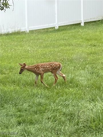 210 Highland Drive, Medina, OH 44256