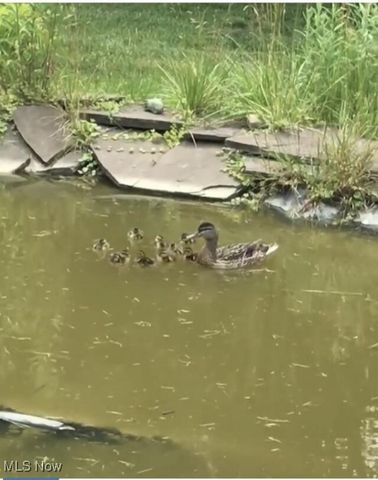 210 Highland Drive, Medina, OH 44256