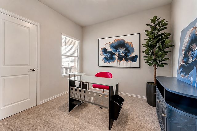 972 Tulip Trail, Lavon, TX 75166