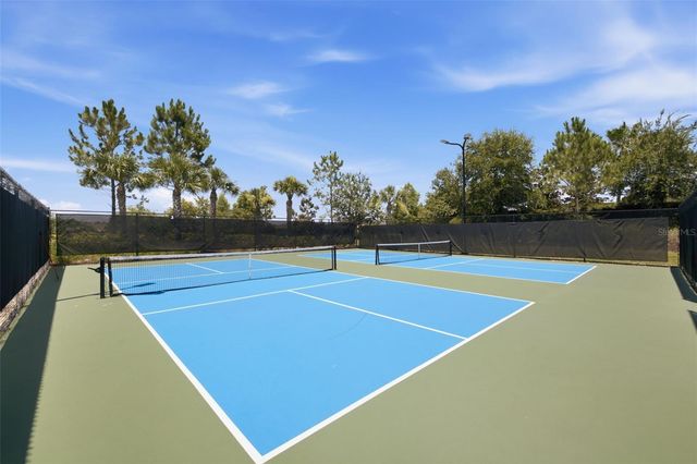 3254 FRANCOA DRIVE, Odessa, FL 33556