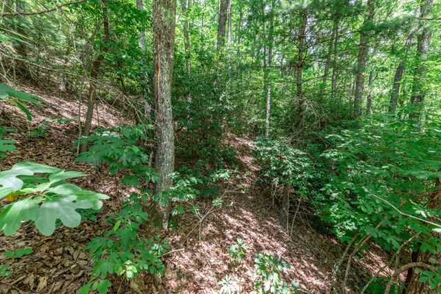 Lot 56 Indian Rock Springs, Murphy, NC 28906