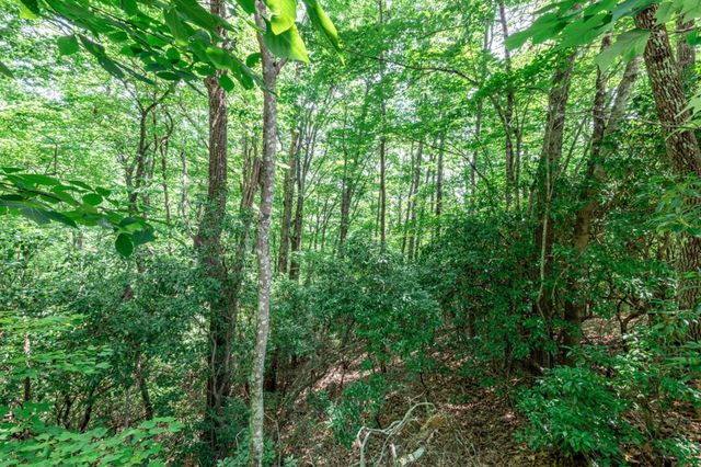 Lot 56 Indian Rock Springs, Murphy, NC 28906