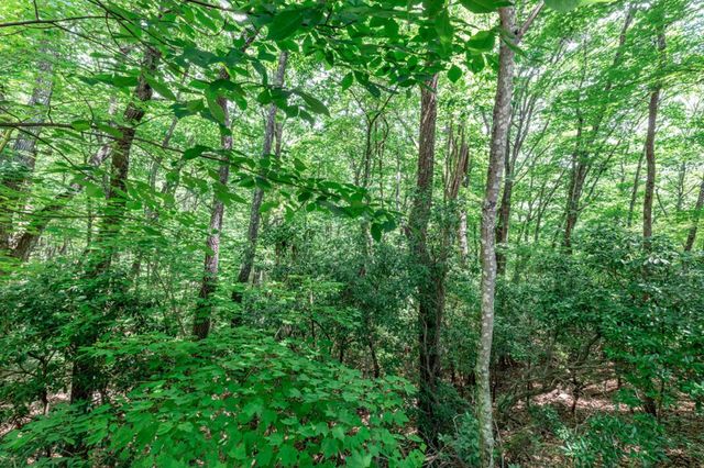 Lot 56 Indian Rock Springs, Murphy, NC 28906