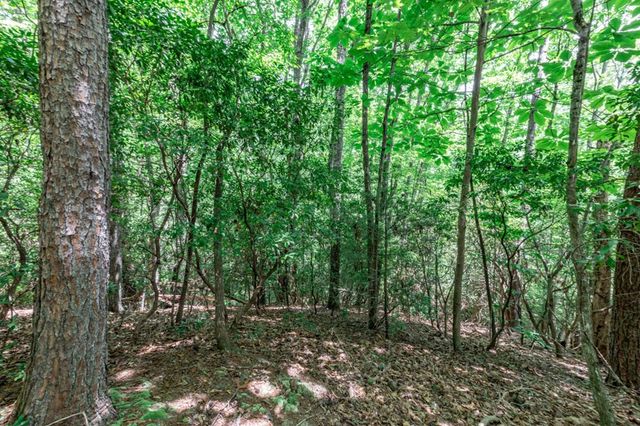 Lot 56 Indian Rock Springs, Murphy, NC 28906