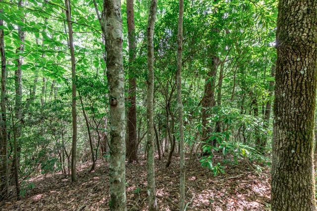 Lot 56 Indian Rock Springs, Murphy, NC 28906