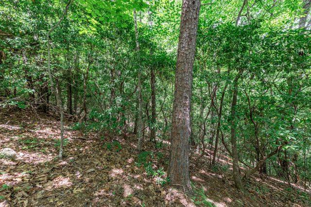 Lot 56 Indian Rock Springs, Murphy, NC 28906