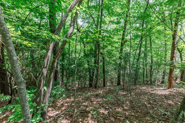 Lot 56 Indian Rock Springs, Murphy, NC 28906