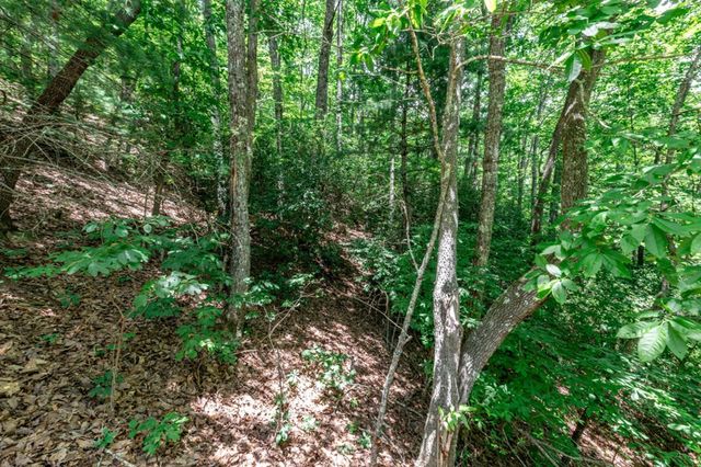 Lot 56 Indian Rock Springs, Murphy, NC 28906