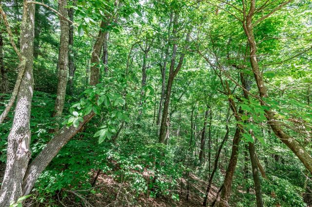 Lot 56 Indian Rock Springs, Murphy, NC 28906