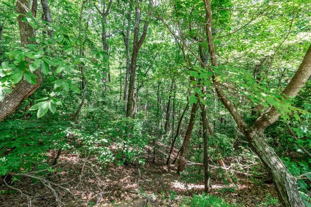 Lot 56 Indian Rock Springs, Murphy, NC 28906