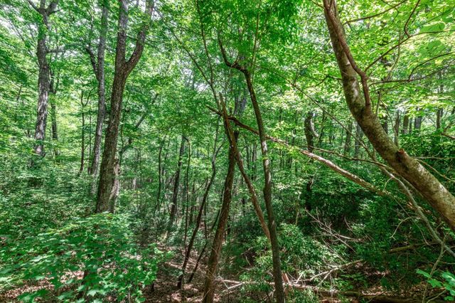 Lot 56 Indian Rock Springs, Murphy, NC 28906