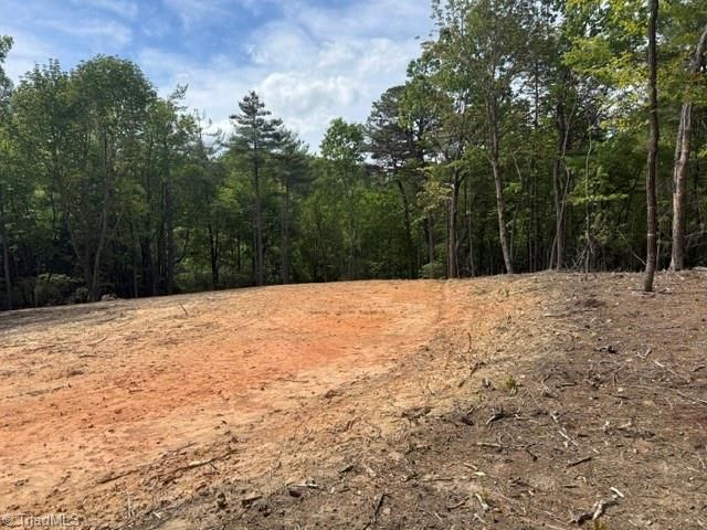 00 Chestnut Mountain Farms Parkway, Mcgrady, NC 28649