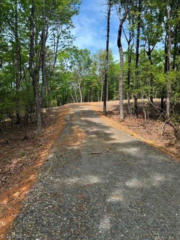 00 Chestnut Mountain Farms Parkway, Mcgrady, NC 28649