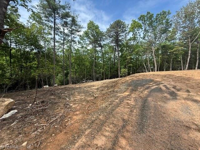 00 Chestnut Mountain Farms Parkway, Mcgrady, NC 28649