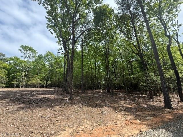 00 Chestnut Mountain Farms Parkway, Mcgrady, NC 28649