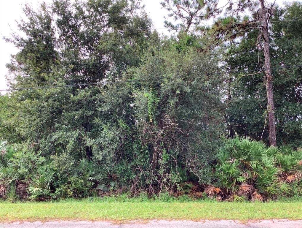 ODHAM STREET, Orlando, FL 32833