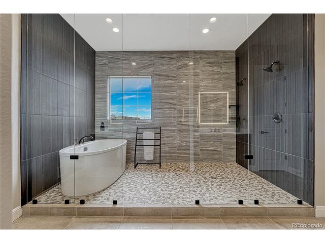 3158 Wingspan Pt, Castle Rock, CO 80108