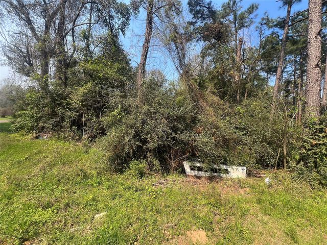 TBD Red Fox Lane, Coldspring, TX 77331