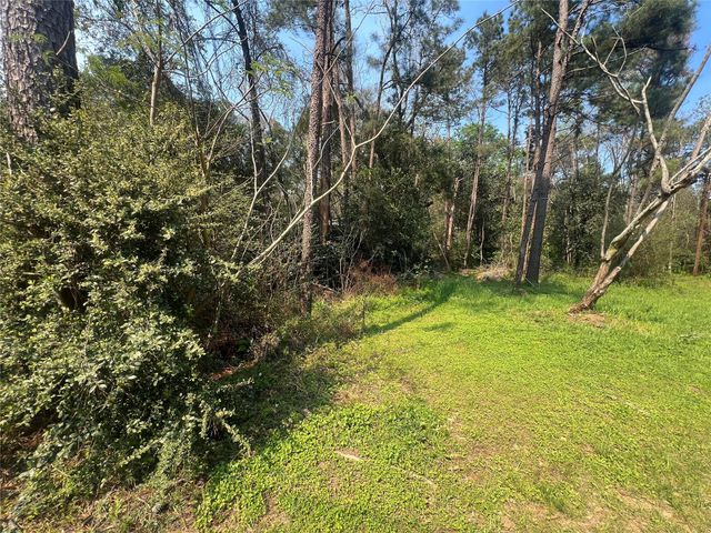 TBD Red Fox Lane, Coldspring, TX 77331