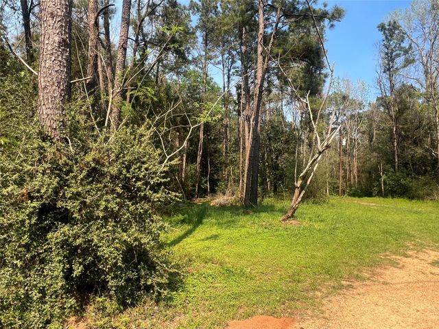 TBD Red Fox Lane, Coldspring, TX 77331