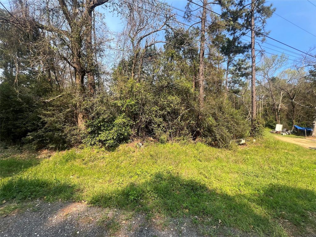 TBD Red Fox Lane, Coldspring, TX 77331