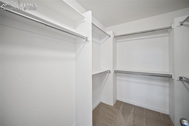 6292 John Muir Trail, Colorado Springs, CO 80927