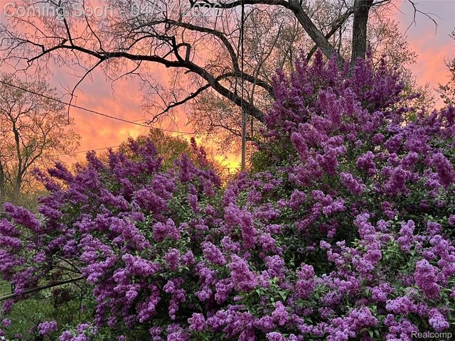 13257 Strong Boulevard, South Rockwood Village, MI 48179