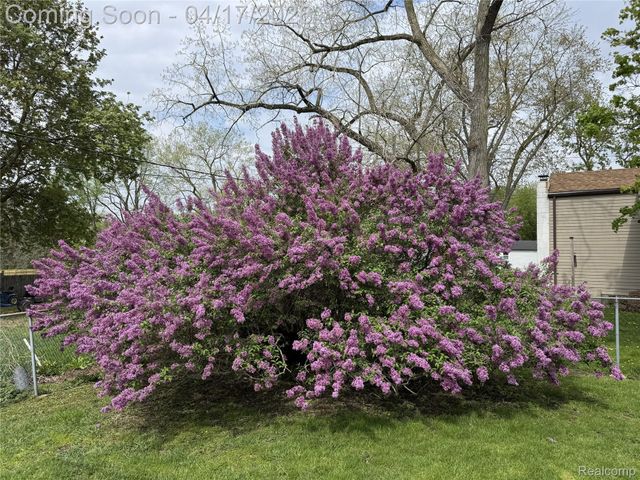 13257 Strong Boulevard, South Rockwood Village, MI 48179