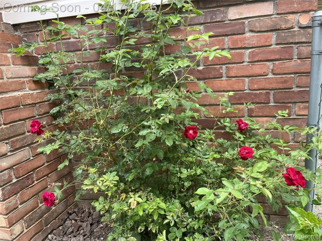 13257 Strong Boulevard, South Rockwood Village, MI 48179