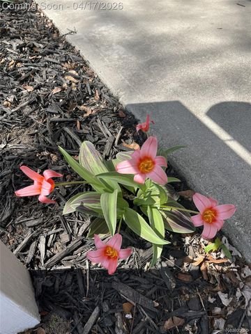 13257 Strong Boulevard, South Rockwood Village, MI 48179