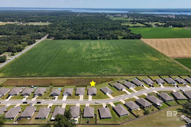 12872 Prairie Field Drive, Lillian, AL 36549