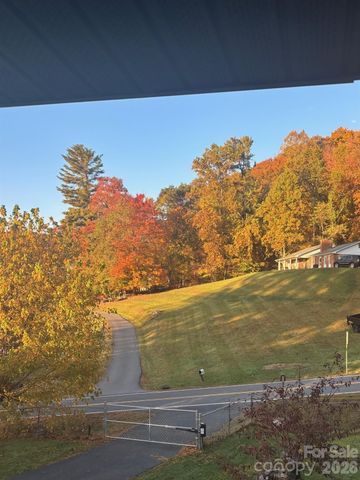 342 Mountain View Road, Burnsville, NC 28714
