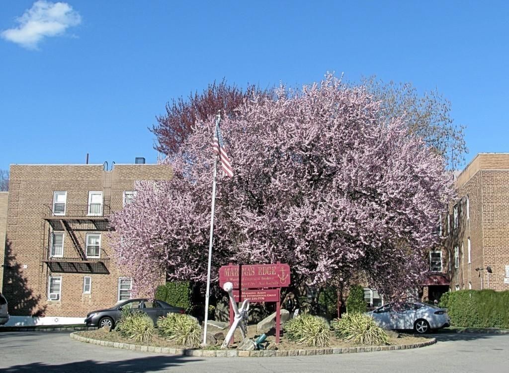 30 DAVENPORT Avenue 1B, New Rochelle, NY 10805