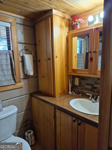 40 Wilderness Court, Blairsville, GA 30512