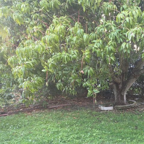 7104 SW 132nd Ct, Miami, FL 33183