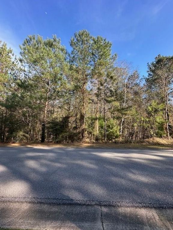 0 Boardwalk Drive, Daphne, AL 36527 — photo 3