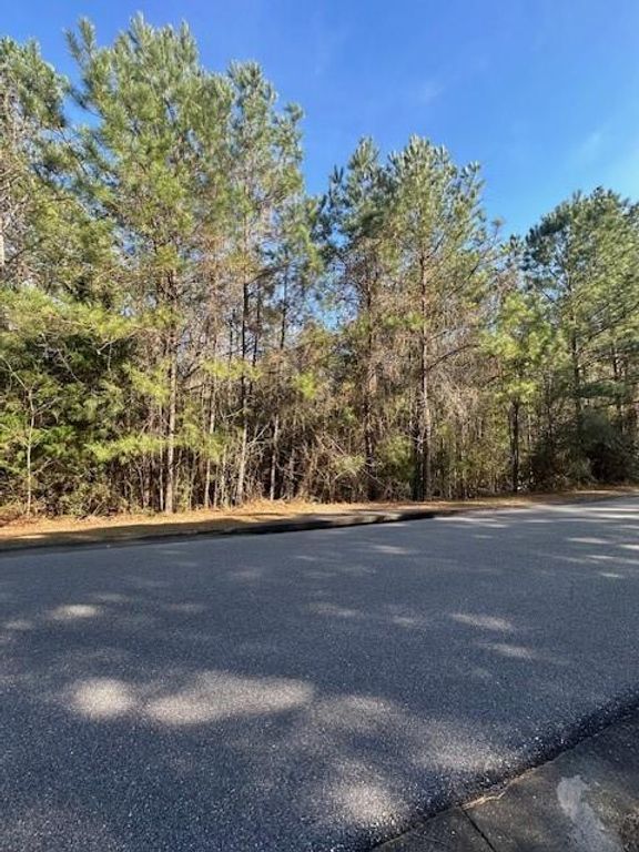 0 Boardwalk Drive, Daphne, AL 36527 — photo 4