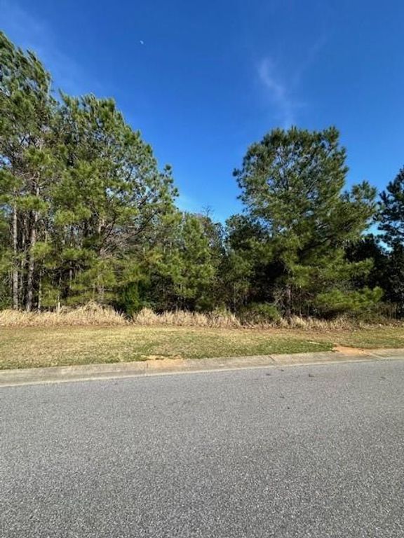 0 Boardwalk Drive, Daphne, AL 36527 — photo 5