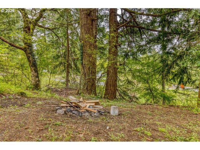 22 Nw LUCAS St, Stevenson, WA 98648
